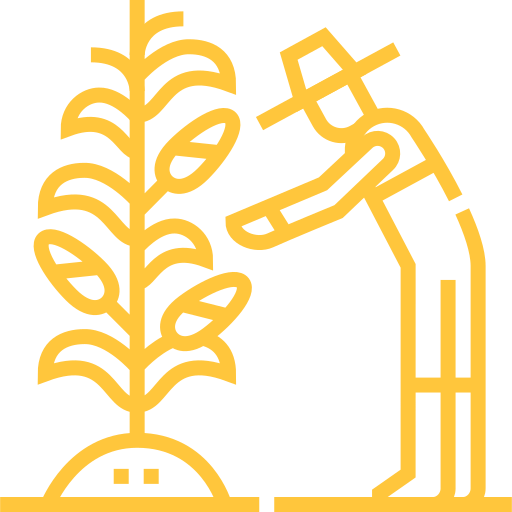 Trimming Services